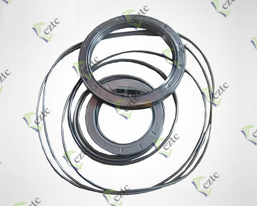 Zoomlion Concrete Pump Parts BREVINI ED2090 Reducer Seal Kits P01609000111