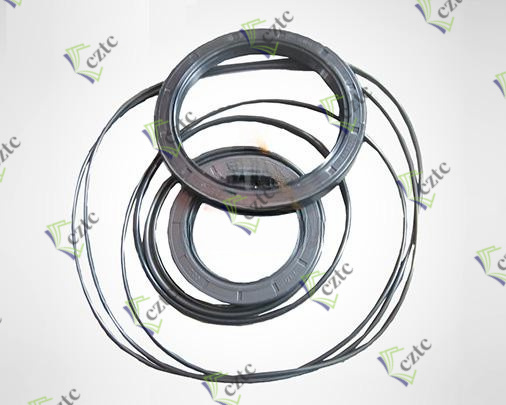 DINAMIC RE1022/1023 Reducer Seal Kits P01609000124