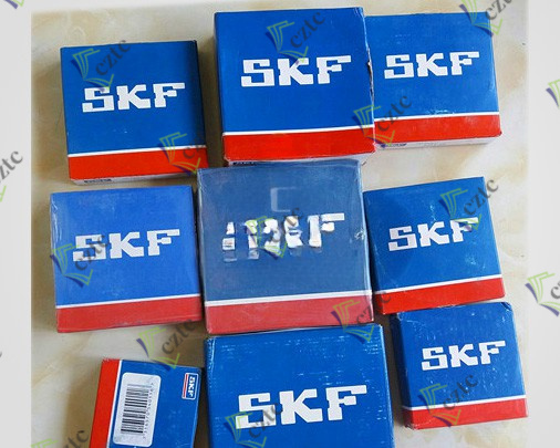 Putzmeister PTO SKF Bearing