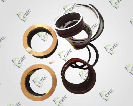 Putzmeister Seal Kit Seal Set For HYD Main Cylinder 514000  D1400-110/63 mm