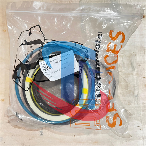 Putzmeister 445788 Concrete Pump Seal Kit Repair Kits