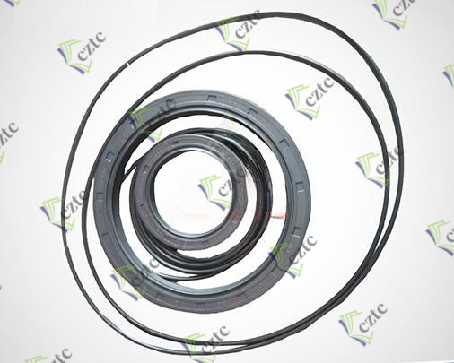 BREVINI ET3150 Reducer Seal Kits 001600001A0000085