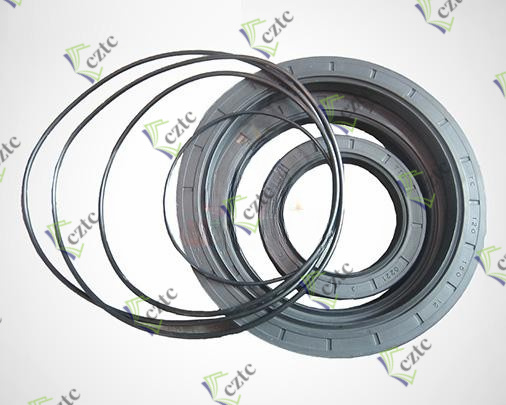 Comer PG1002/1003 Reducer Seal Kits P01602000292
