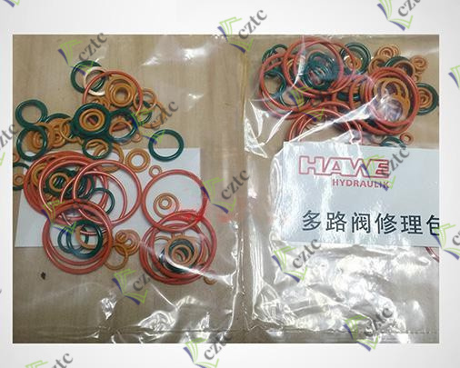 Hawe Multi-Way Valve Seal Kits P01609000259