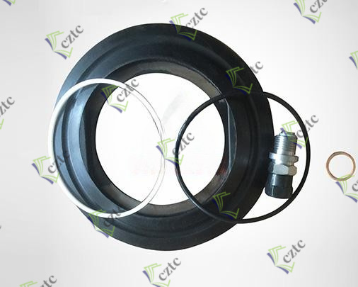 Zoomlion Energy Accumulator Seal Kits 1010800070