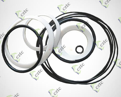 Zoomlion Motor Seal Kits 1019900496