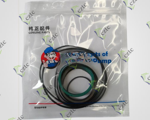 Zoomlion Seal Kits For Mixing Motor Agitator Motor SY-1000 1010100185